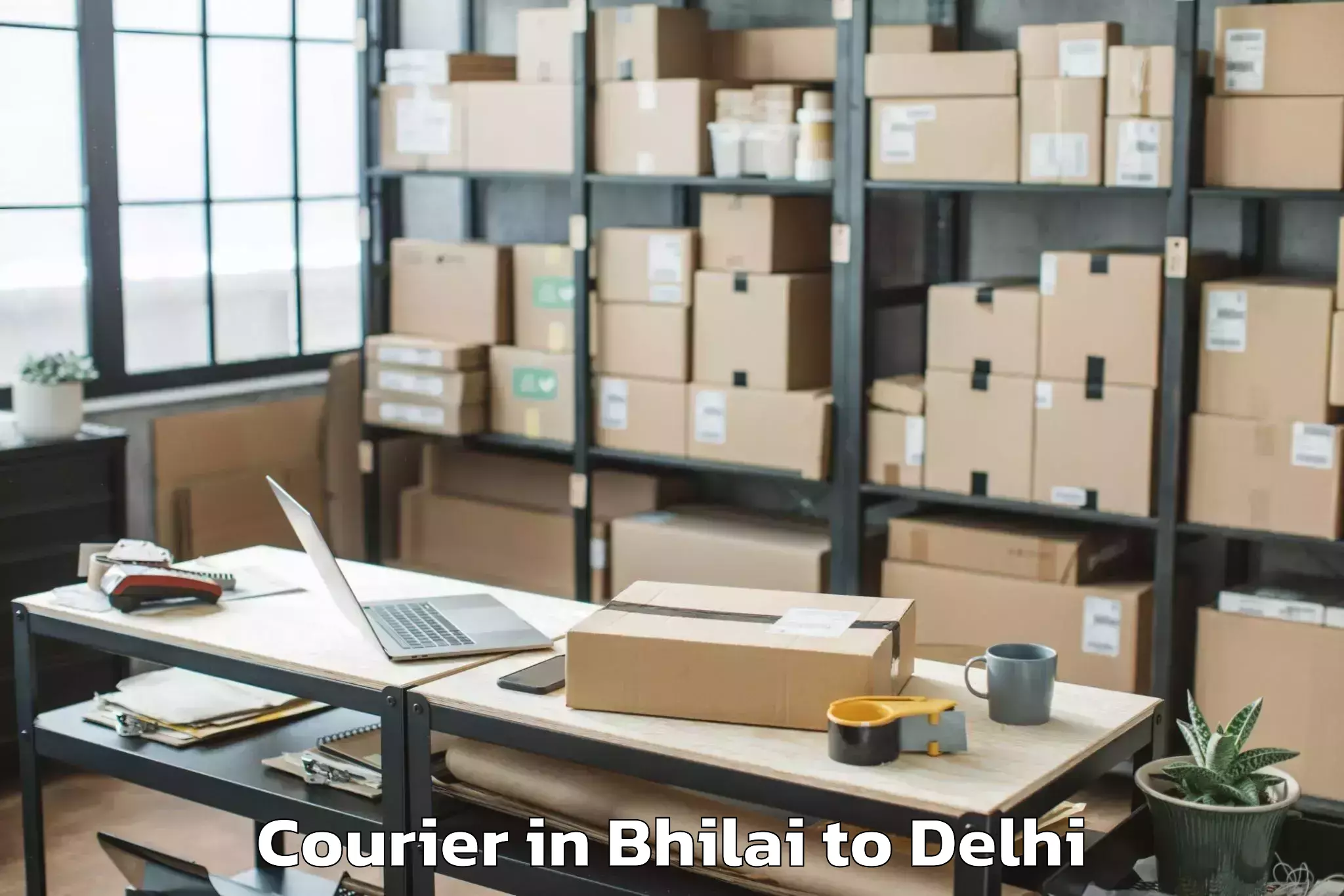 Trusted Bhilai to Alipur Courier